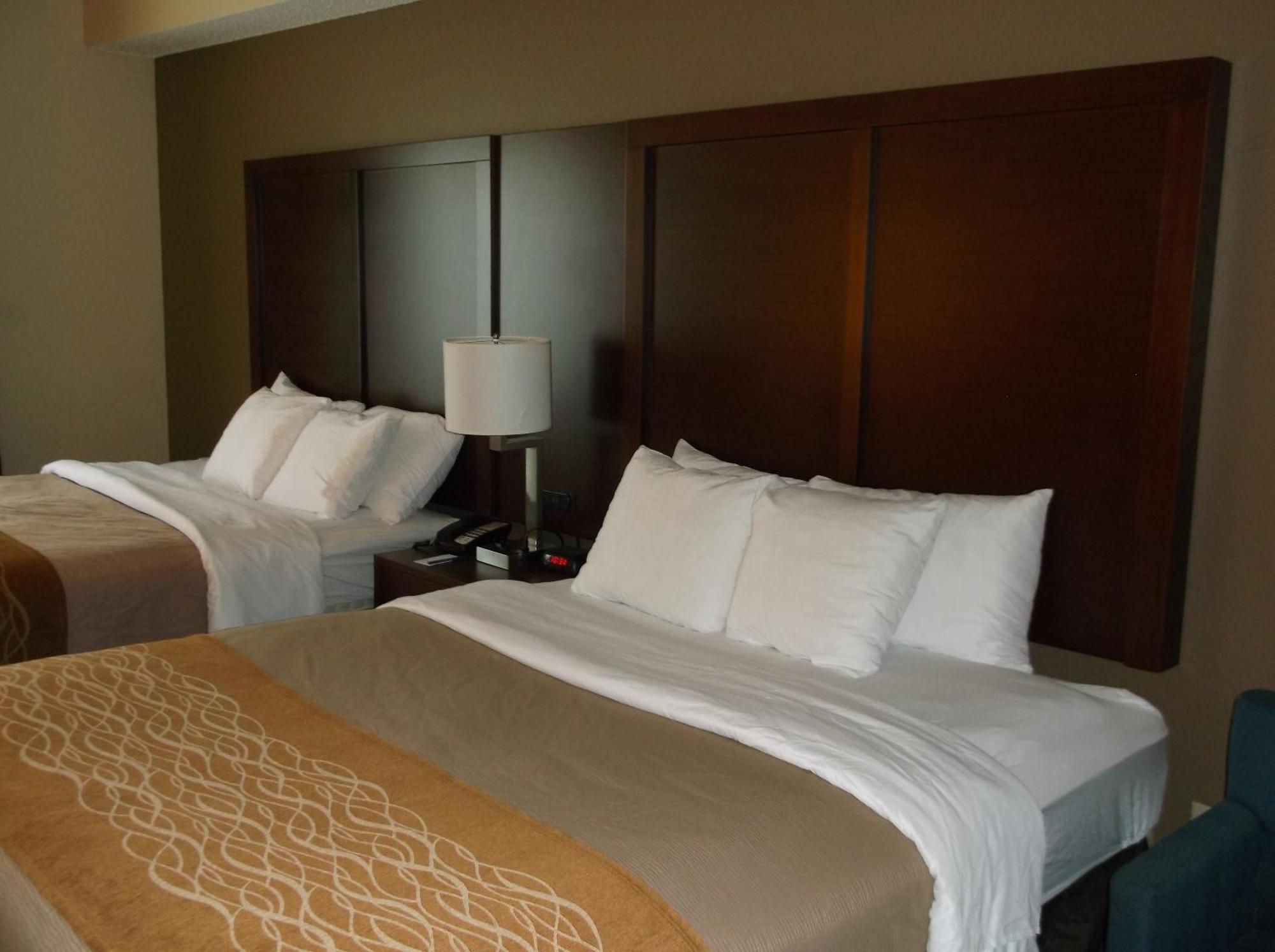 Queen Room Two Queen Beds Accessible or Non-Smoking,1544630212:JPEG